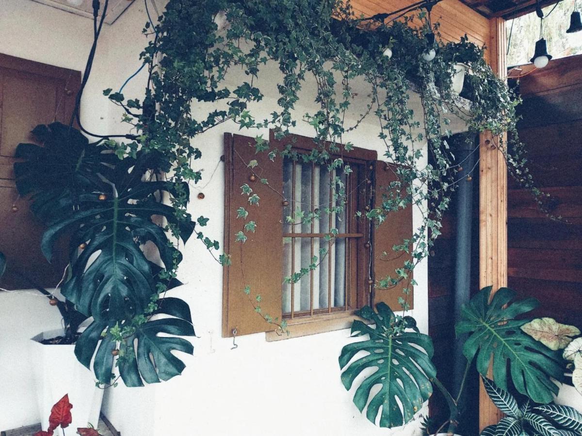Soul Pnb Homestay Dalat Eksteriør bilde